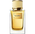 Velvet Honey Santal von Dolce & Gabbana