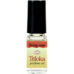 Living Rose by Triloka