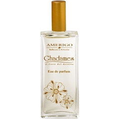 Ghadames von Amerigo