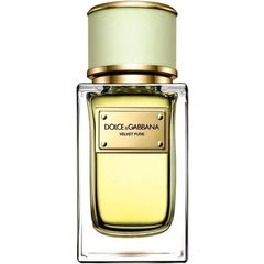 Velvet Pure by Dolce & Gabbana