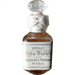 Alba Violet von Colgate & Company