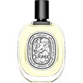 Eau de Lierre von Diptyque