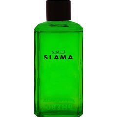 Amir Slama Matcha von Phebo