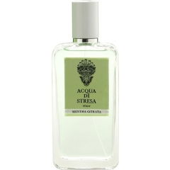 Mentha Citrata