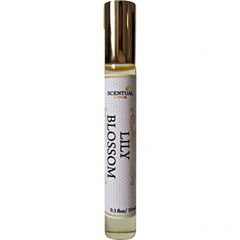 Lily Blossom (Perfume Oil) von Scentual Aroma