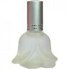 Rose (white) von Aroma Essence