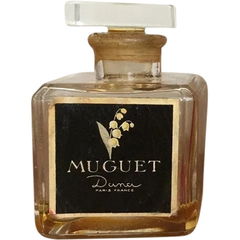 Muguet by Dana
