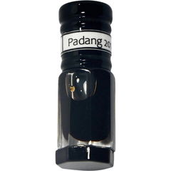 Padang 2016 von Suko Oud
