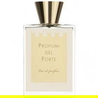 Versilia Vintage - Ambra Mediterranea by Profumi del Forte