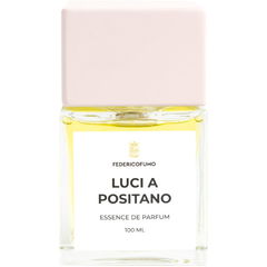 Luci a Positano von Federico Fumo