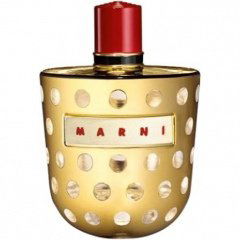Marni Luxury Edition 2013 - Metallic von Marni