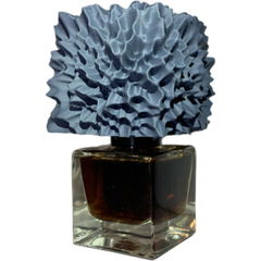 Monoliths & Dimensions von Phronema Perfumes