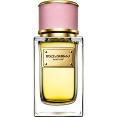 Velvet Love von Dolce & Gabbana