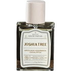 National Park Collection - Joshua Tree by Good & Well Supply Company