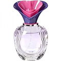Love Today (Eau de Toilette) by Dorall Collection