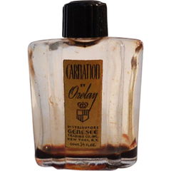 Carnation von Orelay
