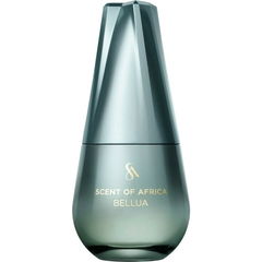 Bellua by Scent of Africa