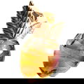 Polemic! by Succès de Paris / Rêve Luxe et Parfums