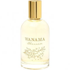 Blossom by Wanama