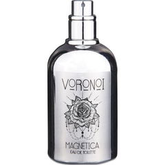 Magnetica von Voronoi