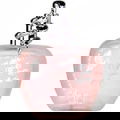 Amore Mio (2010) (Eau de Parfum)