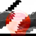 Wild Dragon's Blood