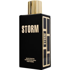 Storm pour Homme (2014) by Storm