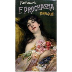 Bouquet des Fontaines lumineuses von Prochaska / Proka