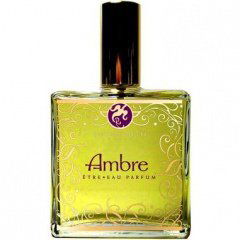 Ambre von Senteurs de Fée