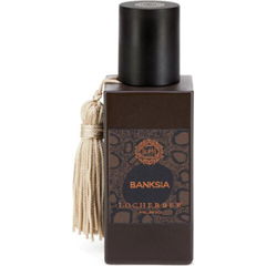 Banksia von Locherber