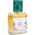 Velvet Petals von Vivace Perfumes