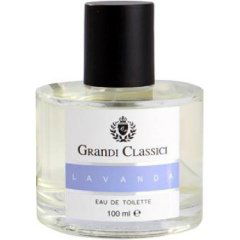 Grandi Classici - Lavanda by Niyo & Co.