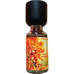 Indian Summer by Independent's Warsaw