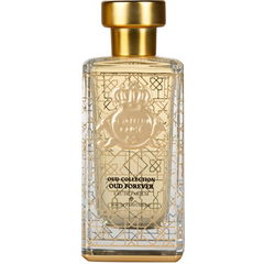 Oud Forever by Al-Jazeera / الجزيرة