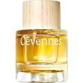 Cévennes by Noяd⁴³