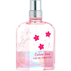 Cerisier Irisé by L'Occitane en Provence