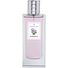 Magnólia von Tania Bulhões