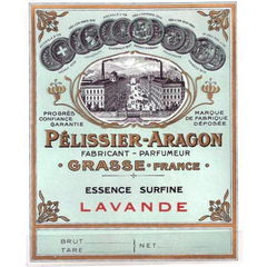 Essence Surfine Lavande von Nogara