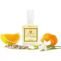 Le Magnifique by FL Parfums