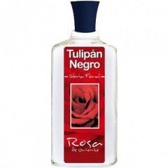 Rosa de Oriente by Tulipán Negro