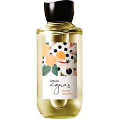 Flor de Laranjeira / Laranjeira em Flor by Natura