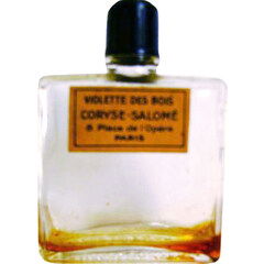Violette des Bois by Coryse Salomé