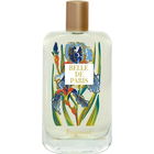 Belle de Paris von Fragonard