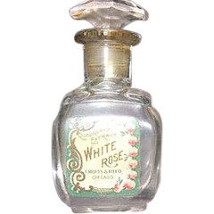 White Rose von Crofts & Reed