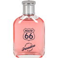 The Road to Paradise is Rough by Route 66