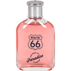 The Road to Paradise is Rough by Route 66