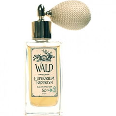 Wald (Eau de Parfum) von Euphorium Brooklyn