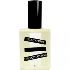Broken Glass von Blackbird