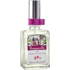 Bouganville von Speziali Fiorentini