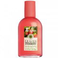 Les Plaisirs Nature - Fraise Mara des Bois / Strawberry by Yves Rocher